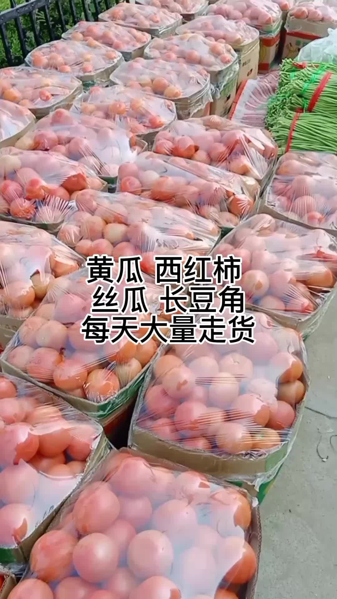 江苏徐州 黄瓜 西红柿 长豆角 丝瓜