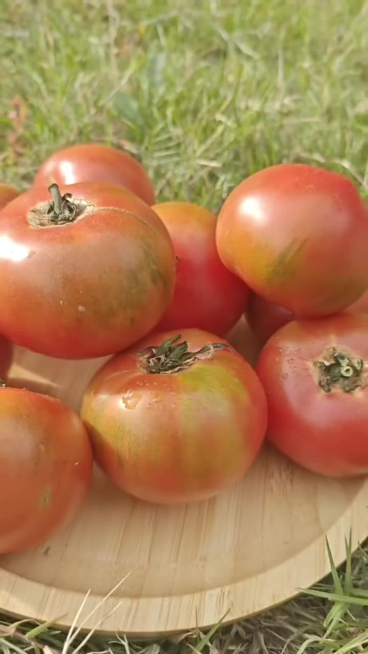 新疆产区草莓西红柿