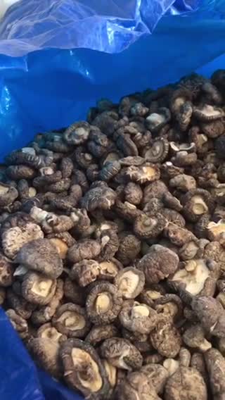 茶花香菇干统货，自家种植产地直销，代购代加工