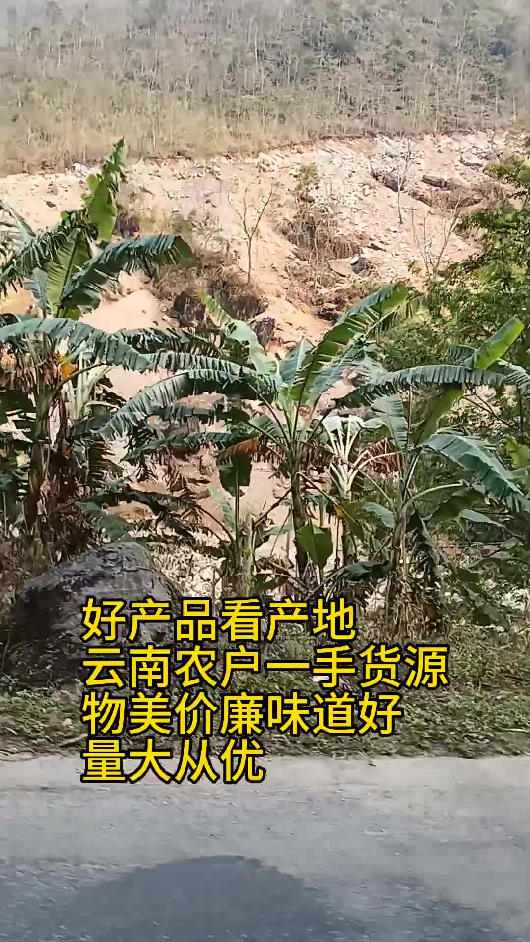 云南农户自产自销，黄瓜，糯玉米，木瓜，香蕉