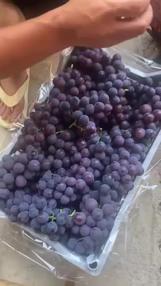 桂林全州大量巨峰葡萄供应