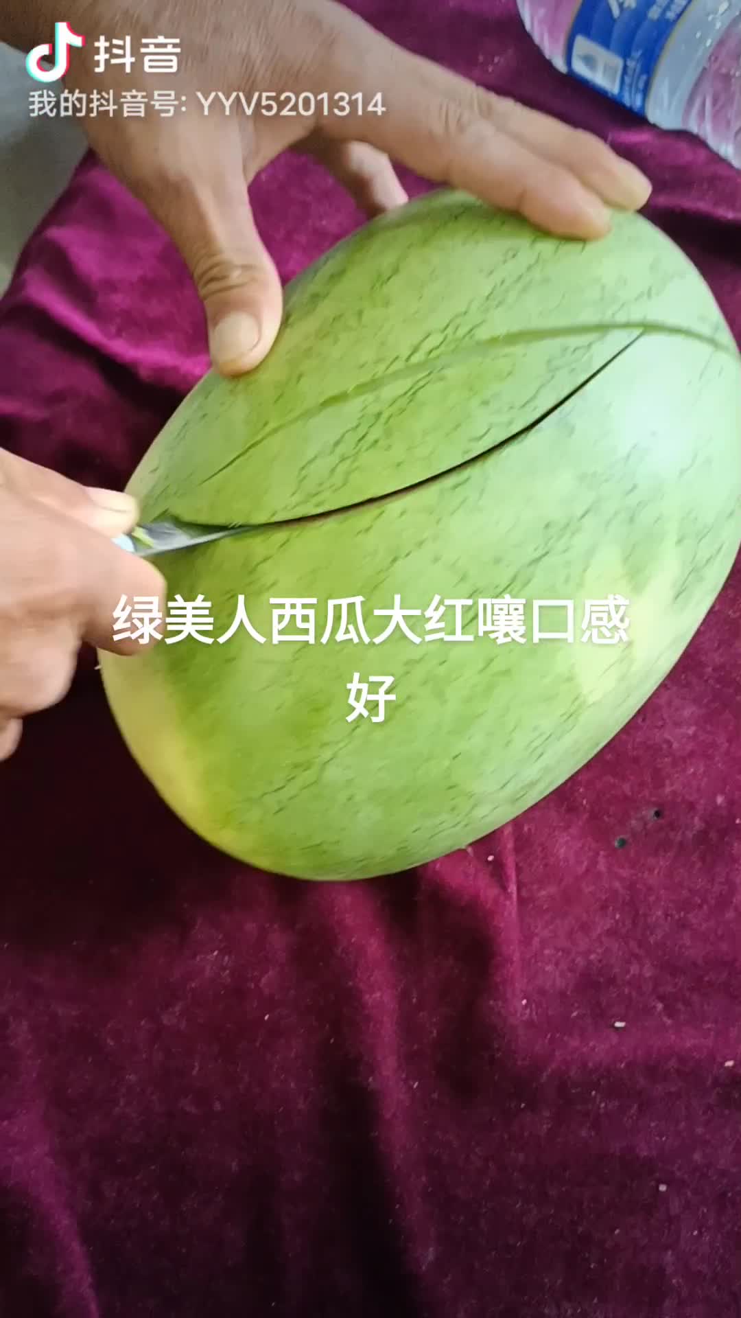 精品庆红宝冠龙西瓜