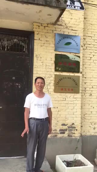 秦元道乌天麻产自秦岭深山嘉陵江源头，绿色有机食品。