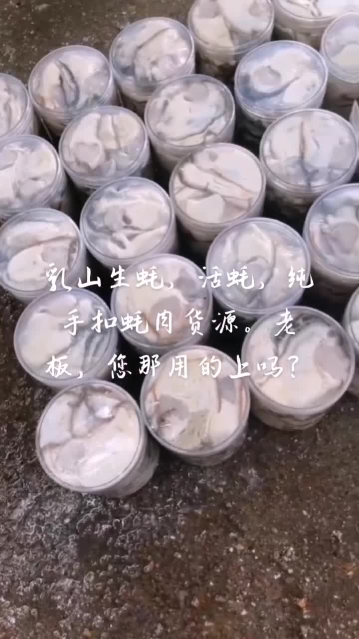 乳山生蚝珍品现撬原浆生蚝肉 乳山加工直销 当天鲜货