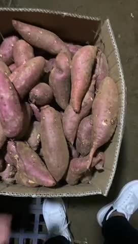 山东红薯，蜜薯，紫薯，保质保量。