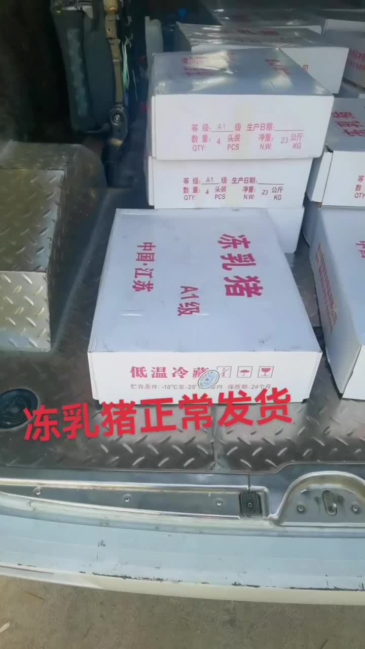 江苏省连云港长年出售冻乳猪 半成品烤乳猪