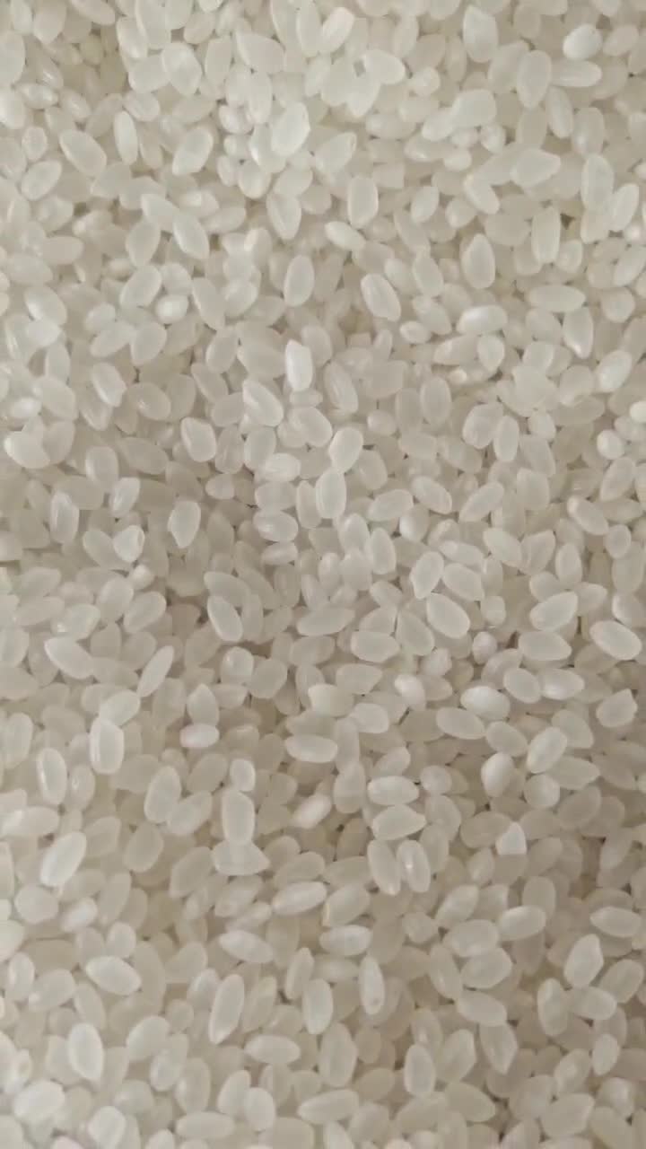 21年东北珍珠米大批量供应