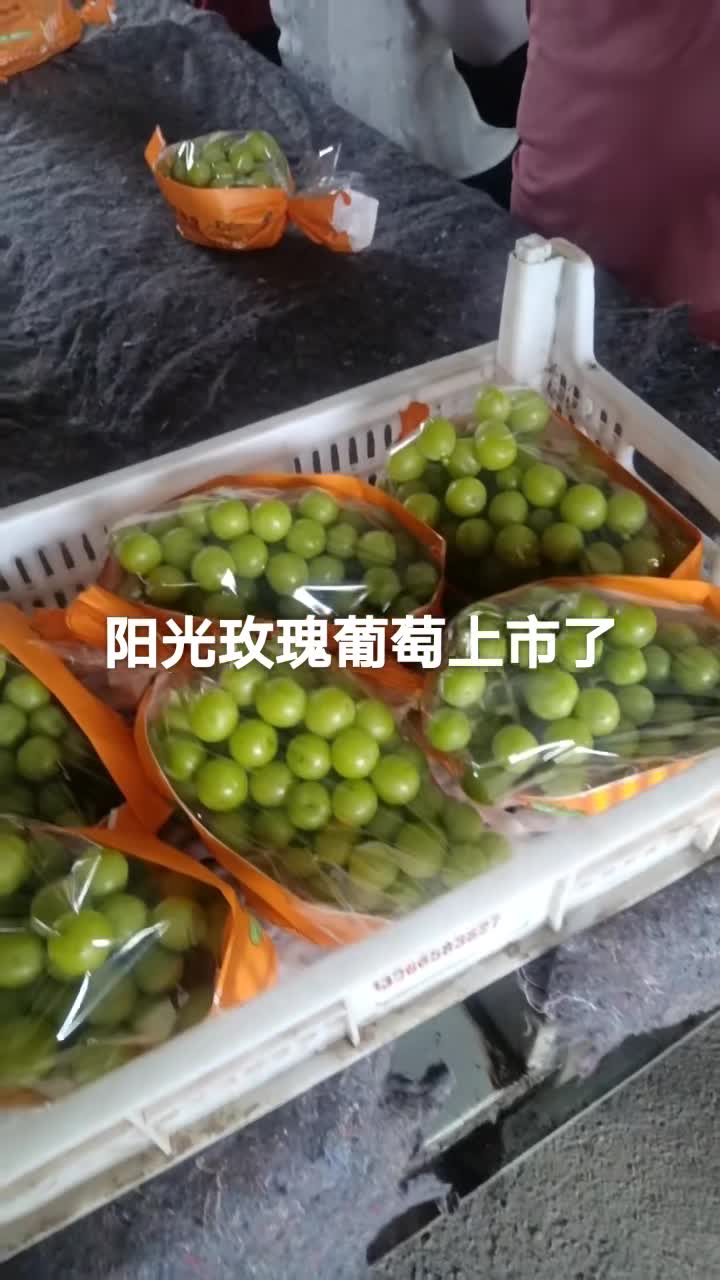 阳光玫瑰