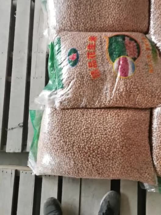 河南八个筛上精选白沙花生米颗粒饱满干度良好杂质少