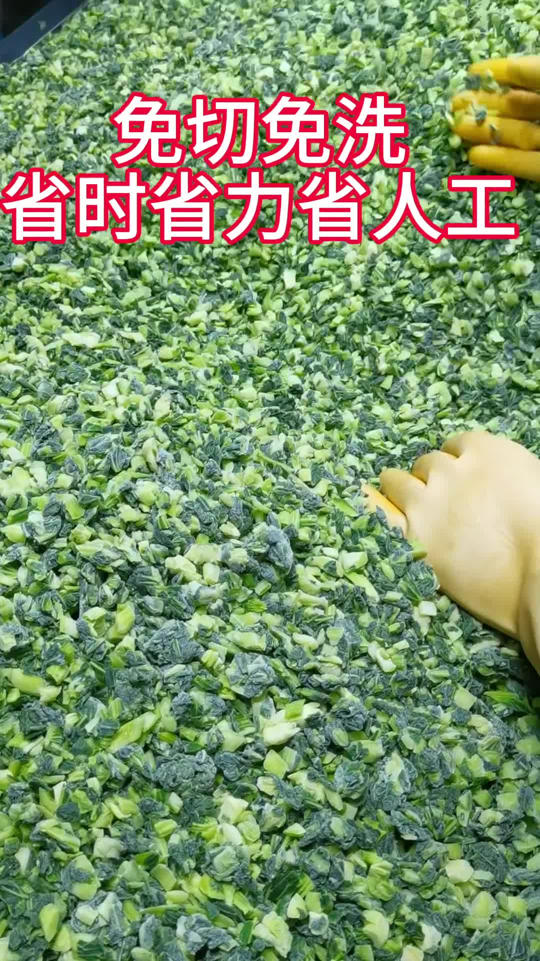 速冻上海青菜碎 青菜颗粒 青菜馅
