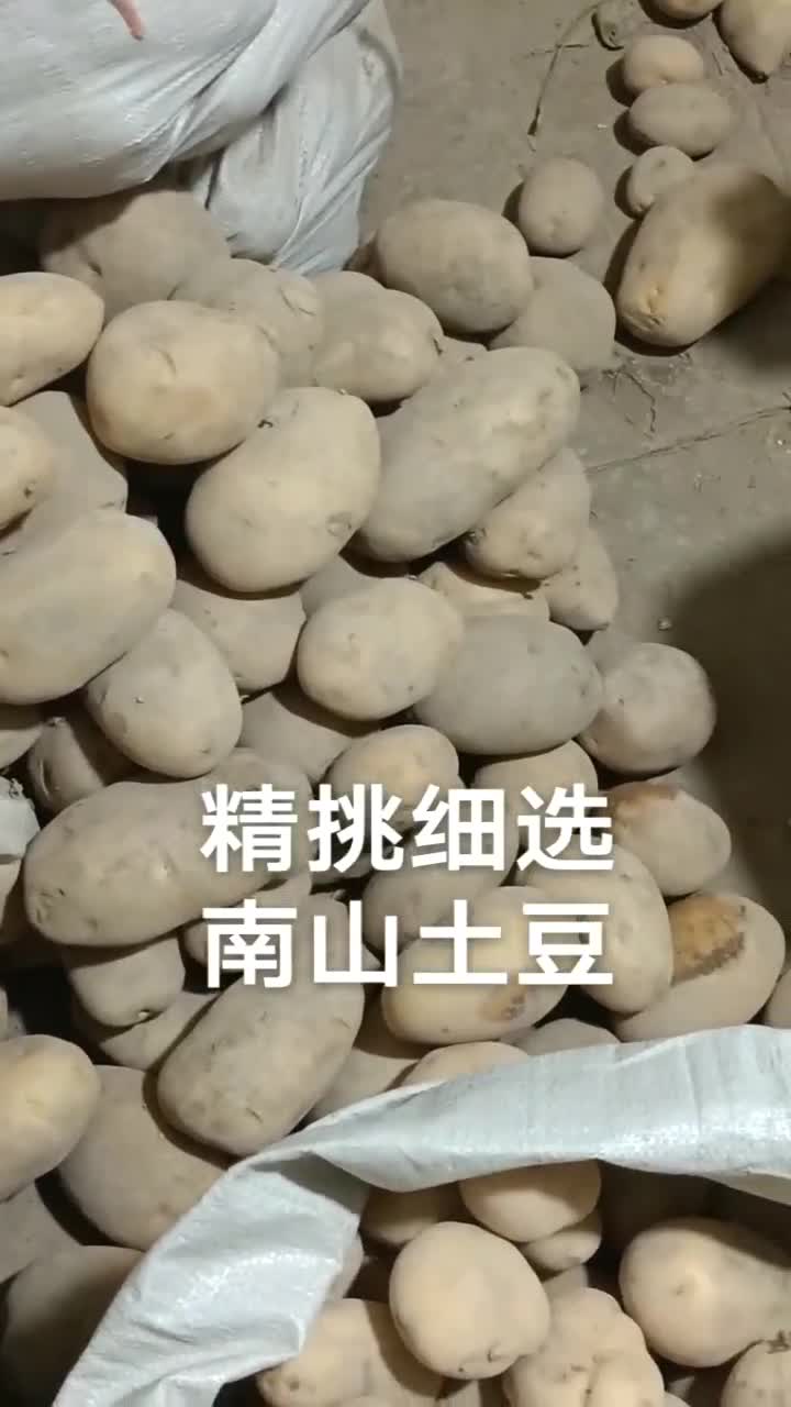 黄土豆白土豆