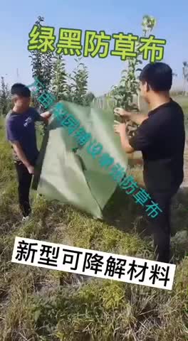 绿黑防草布