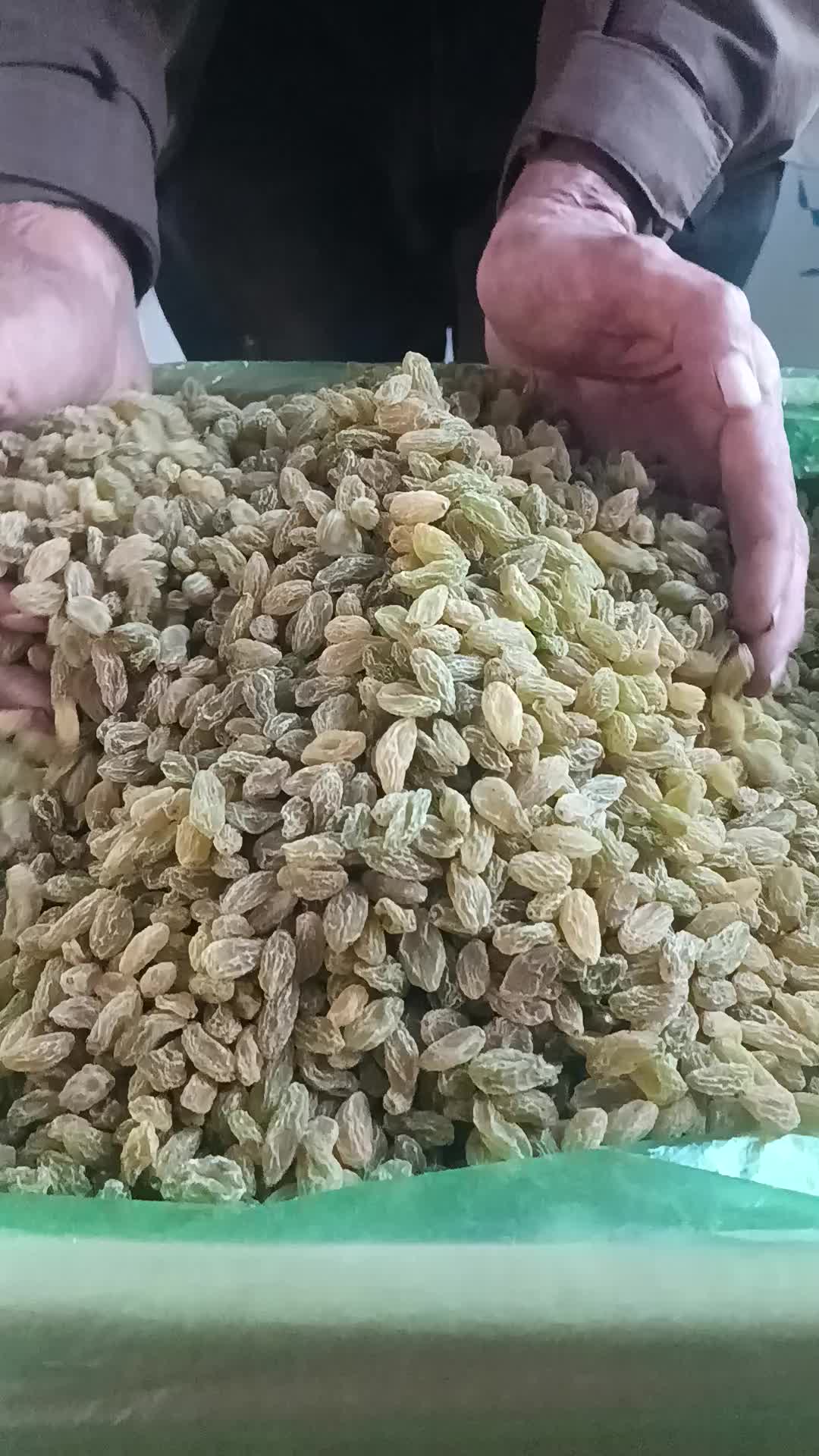 新疆吐鲁潘绿宝石葡萄干