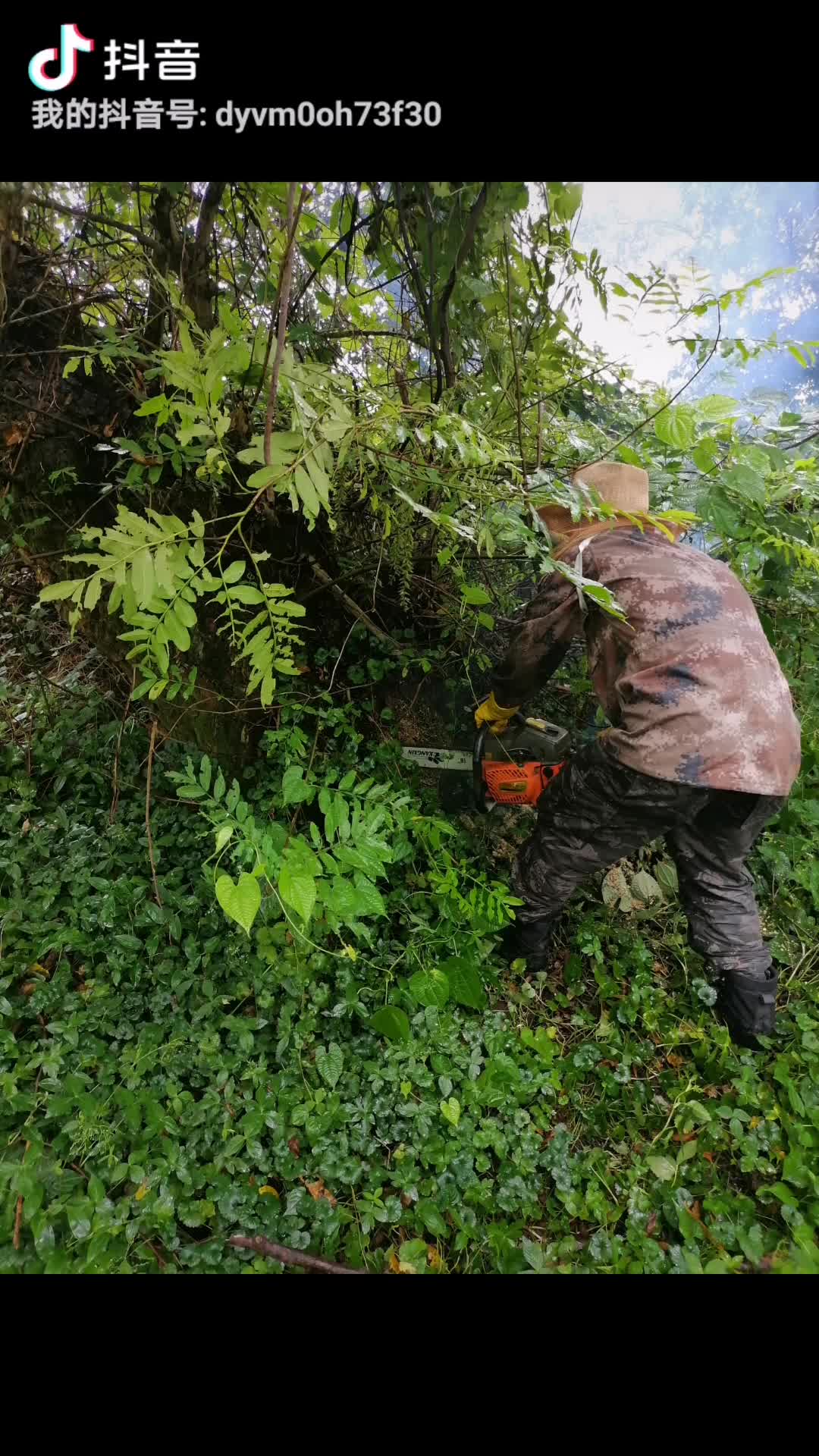 本人有大量的蜂蜜，不是养殖的都是在大山采的