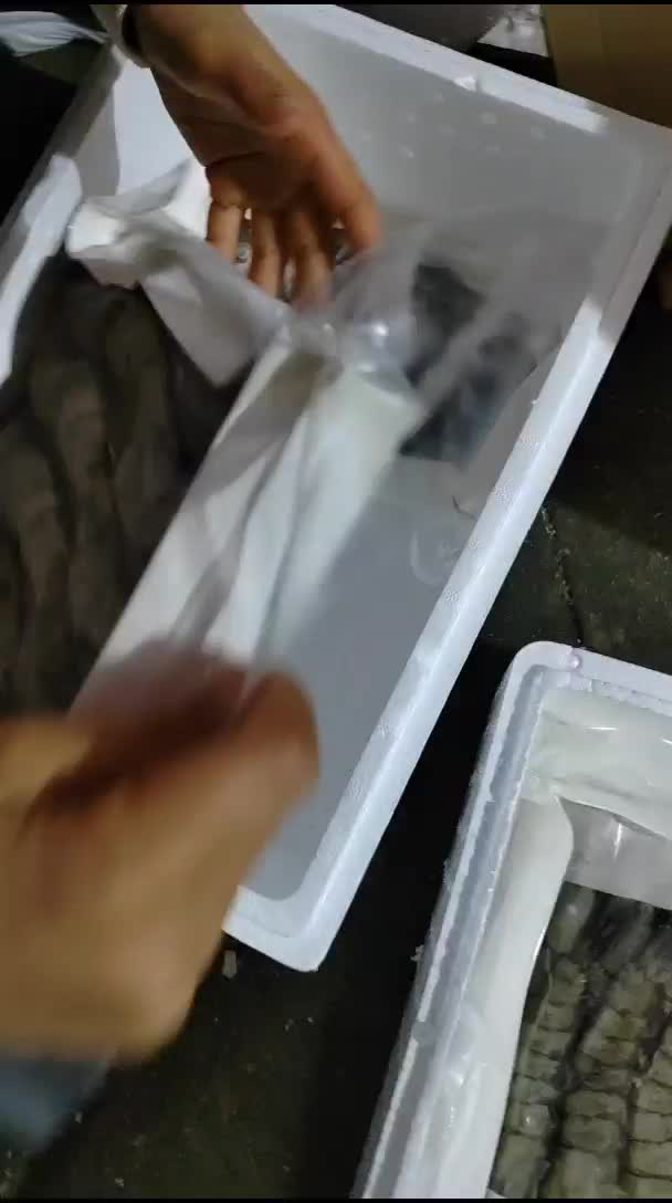 新鲜活冻黑虎虾海南空运发货到家一盒10条1.2斤