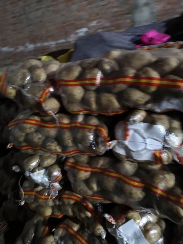 牡丹江尤金885土豆货源不断保证质量