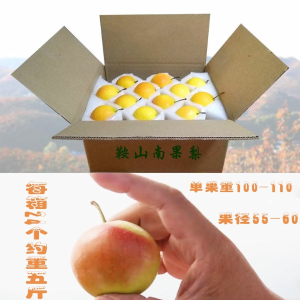 东北鞍山南果梨软梨水果5斤装礼盒南国梨梨子新鲜产地