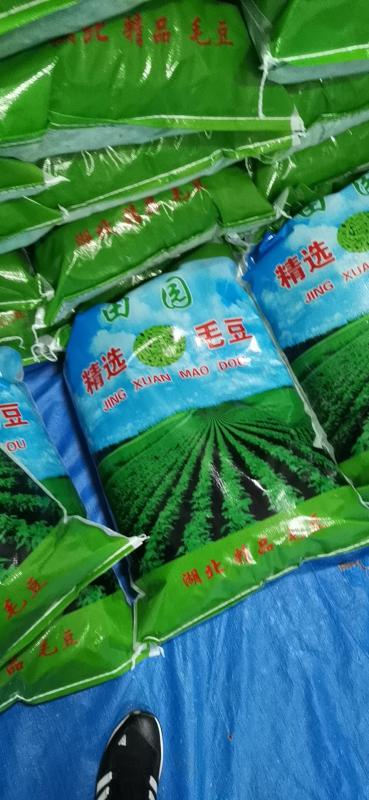 湖北精品毛豆 大量上市 价格美丽 欢迎老板联系