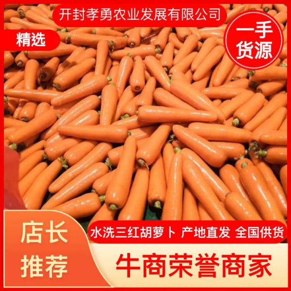 【精品】水洗三红胡萝卜，超市，电商各大市场专供，产地直发