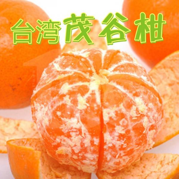 台湾茂谷柑新鲜水果汁多味甜现摘现发包邮包售后