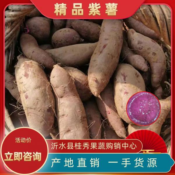 山地紫罗兰紫薯，紫薯货源价格涨！！电商发货质量保证，预售