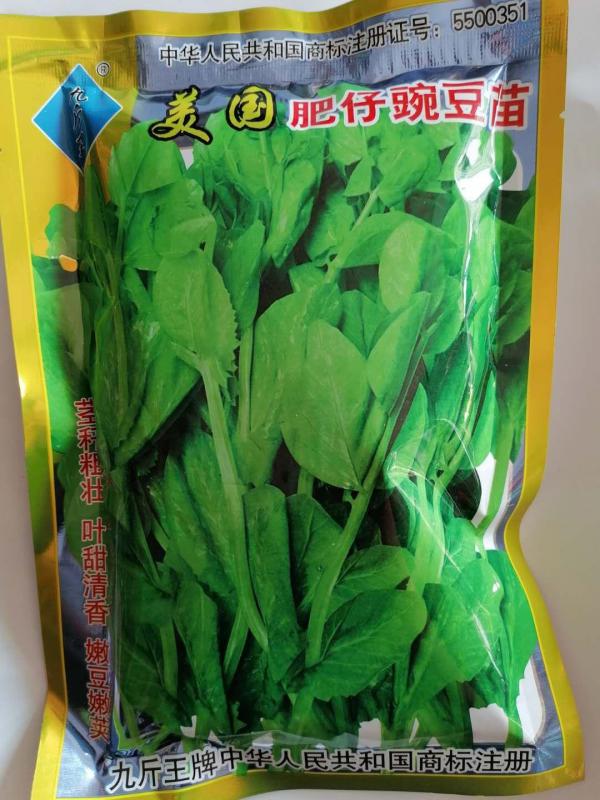 豌豆苗种籽美国肥仔豌豆仁种子1斤装种子种籽