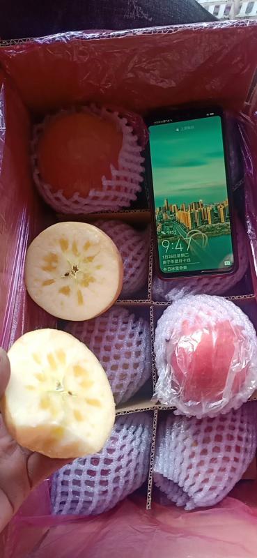 红富士苹果 ，冰糖心苹果，纸加膜红富士苹果，糖度高口感好