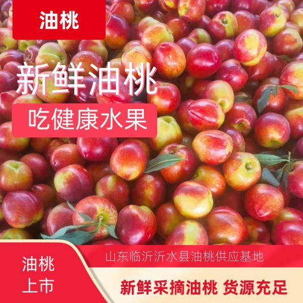 油桃批发 一手货源  精品油桃  品种多价格优惠