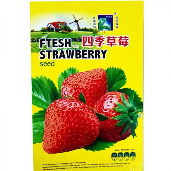 【牛商推荐】种子 草莓种子易播种阳台盆栽草莓种子