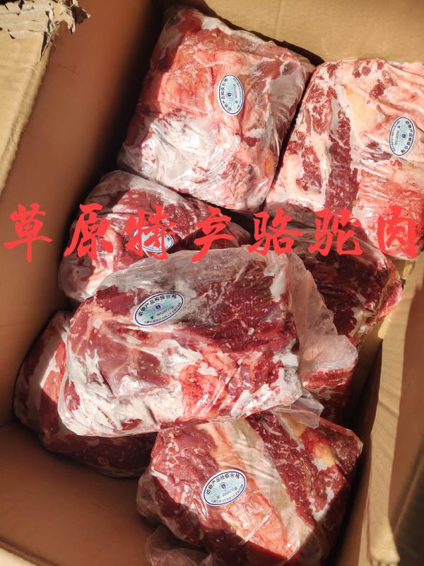 【骆驼肉】当地草原散养的品质保证！如图实物量大优惠！