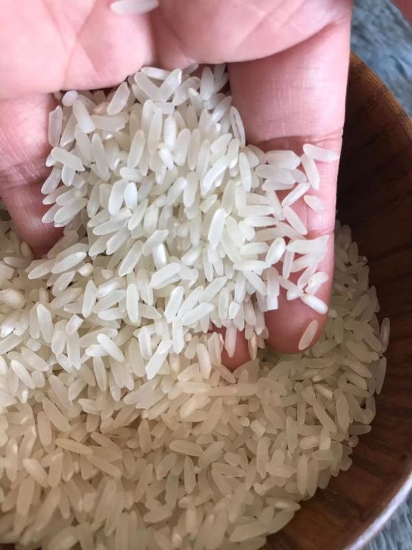 源厂新米批发丰良优大米25kg软香新米商超食米餐饮大米