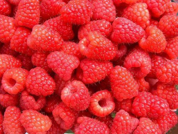 树莓鲜果，接受预订，6月20日上市