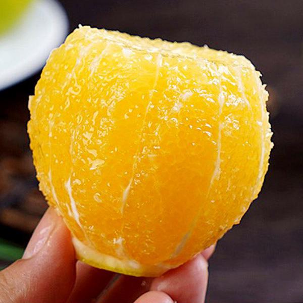云南冰糖橙精品橙大量上市果园看货基地直发货源保证诚信经营