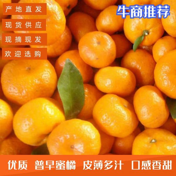湖北柑橘，宜昌蜜橘，口感纯正，自产自销 欢迎选购！