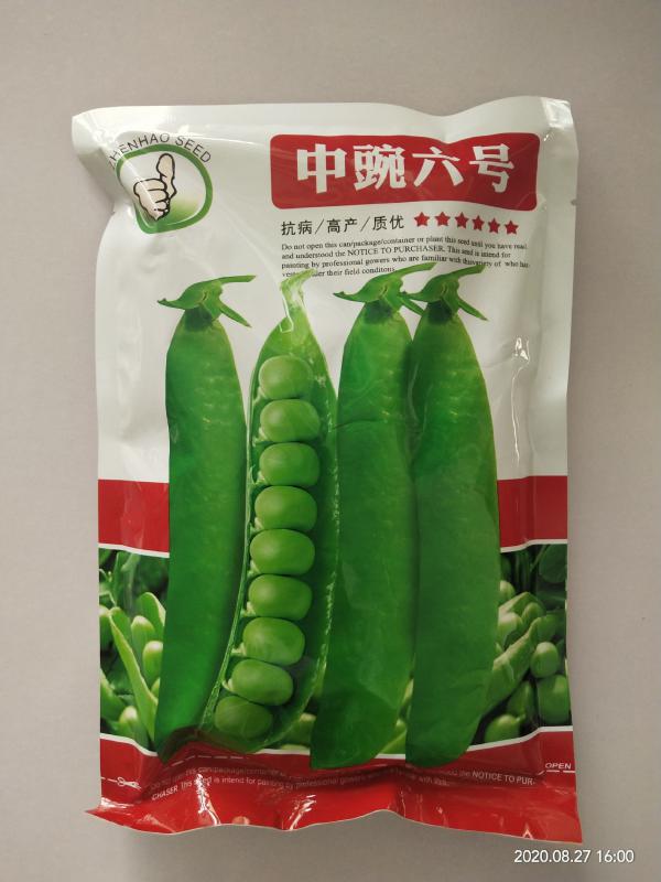 豌豆种子台湾长寿仁中碗六号高产大田专用品种