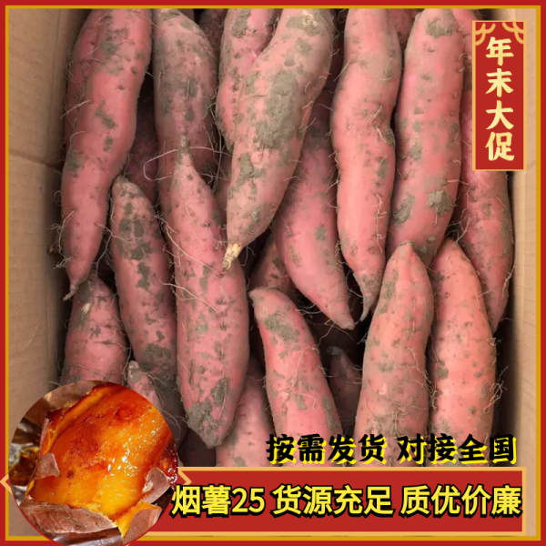 【卖疯了】红薯 烟薯25 唐山滦南地窖储存 货源稳定