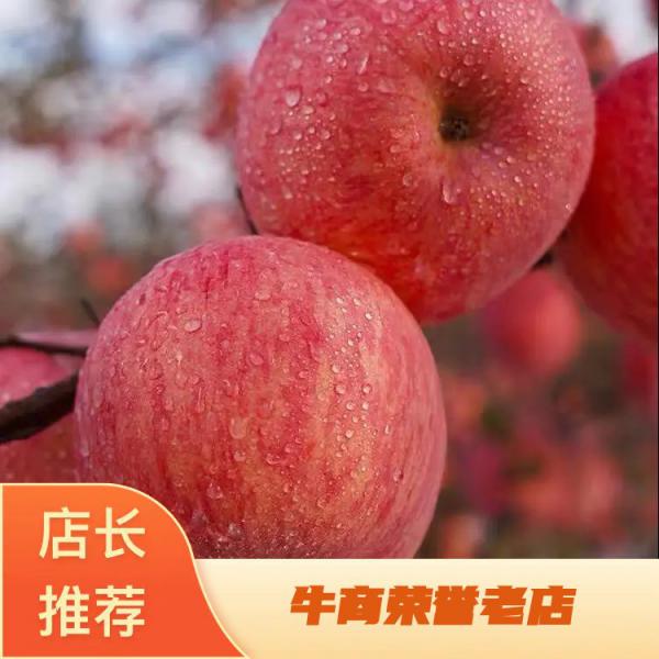 【精品】红星苹果 纸袋红星苹果产地直供规格齐全
