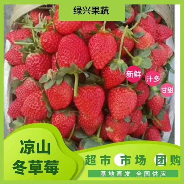 四川冬草莓，专业市场代办。。专业电商供应链 草莓