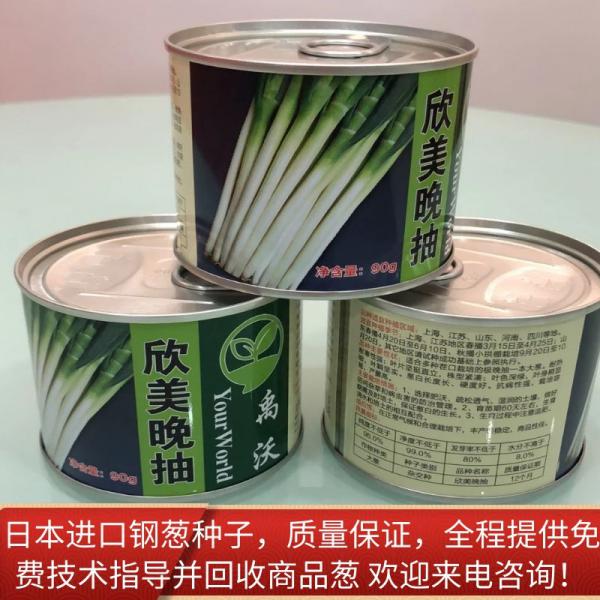 进口日本钢葱种子，产量高 厂家直销 免费提供技术指导