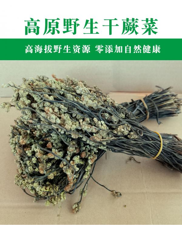 蕨菜甘南高原特产新货无老根精品蕨菜