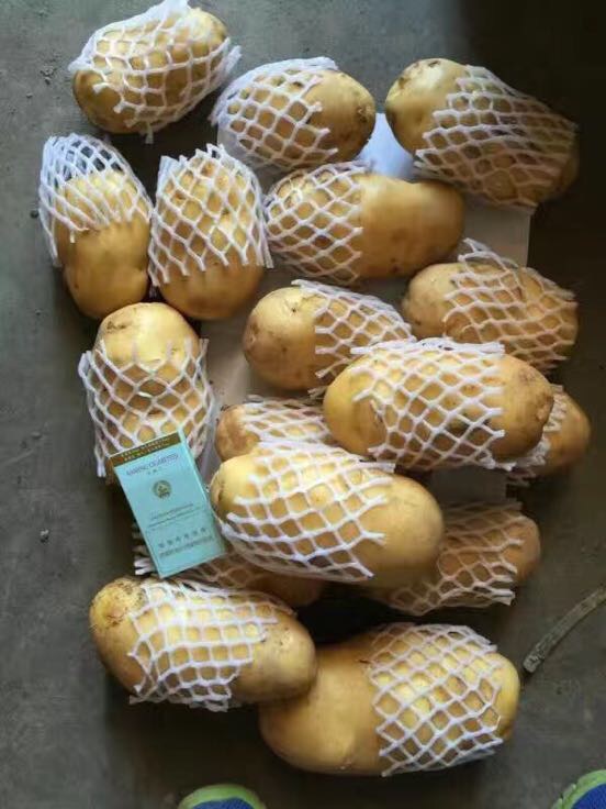 精品荷兰土豆常年批发电商超市批发市场常年专供