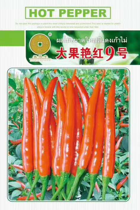 大果早熟 耐湿热硬度好适合云贵川等地种植，高辣泰系艳红椒