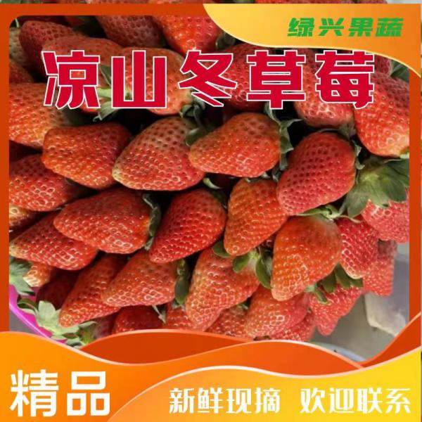 四川凉山冬草莓，电商草莓 四川供应链 草莓