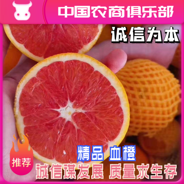 中华红血橙口感纯甜水分足产地直销一手货源质优价廉