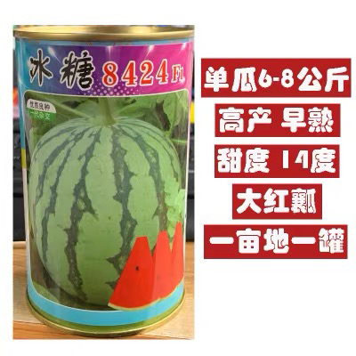【牛商推荐】8424西瓜种子麒麟王子西瓜种子高产甜早熟