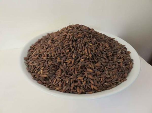 胭脂稻米种子 胭脂稻是未经改良的老种子 量大