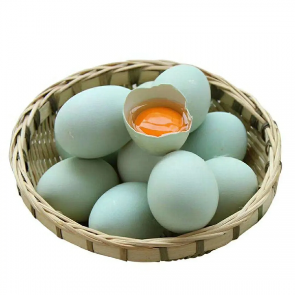 珍思然绿壳初生蛋小绿壳口感纯正鸡蛋新鲜漂亮价格合理
