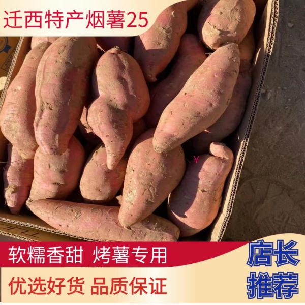 河北烟薯25蜜薯烤薯专用产地直发优选红薯软糯地瓜沙地红皮