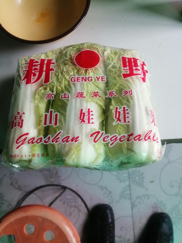 精品娃娃菜，产地直销，库存精品！电联视频，欢迎下单！