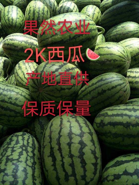 2K西瓜，产地直销，用心做事，地头看货保质保量诚信交易！